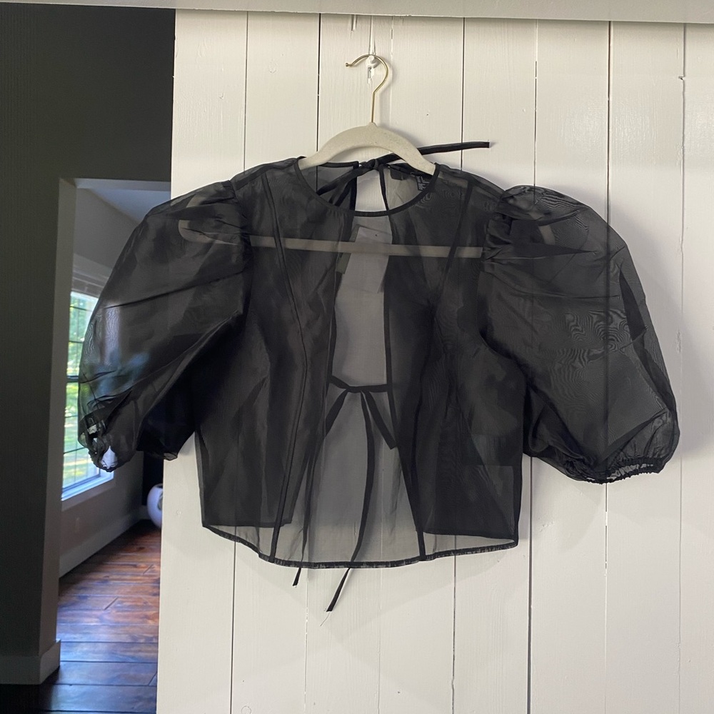 H&M Black Sheer Blouse